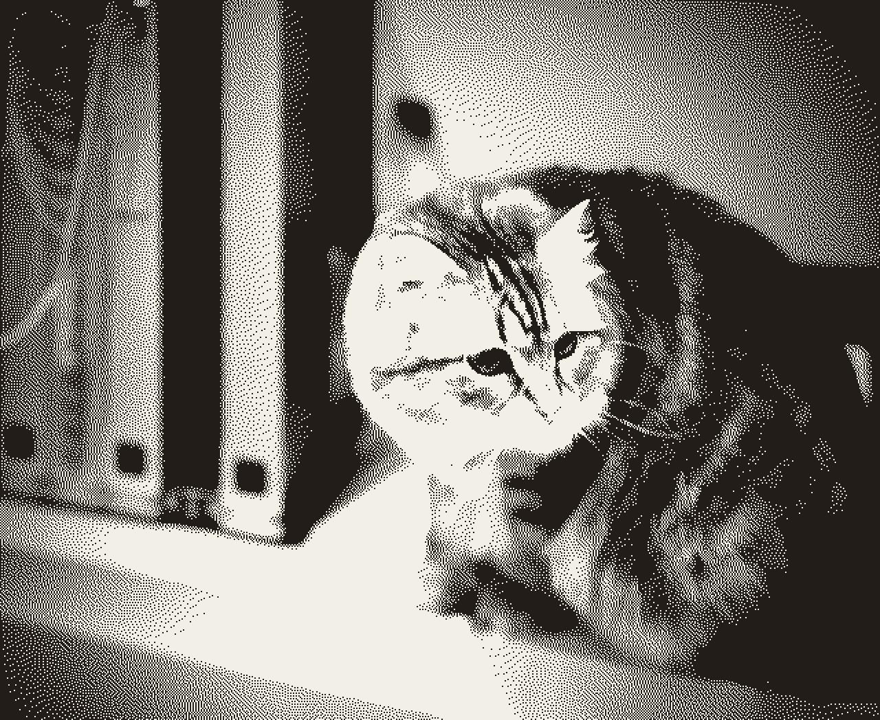 Odette, a long-haired ginger cat, in front of her networking equipment. Rendered as a 1-bit dithered halftone.